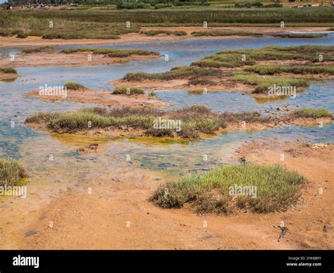 cleaning mud Croatia|Peloid Medicinal mud, Zadar, Nin, Croatia .